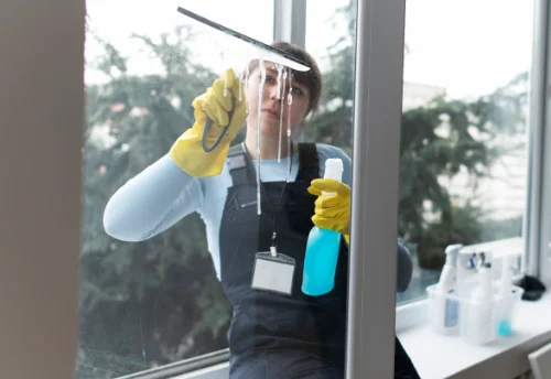 Nettoyage de vitres intérieures et extérieures à Neuville-sur-Brenne